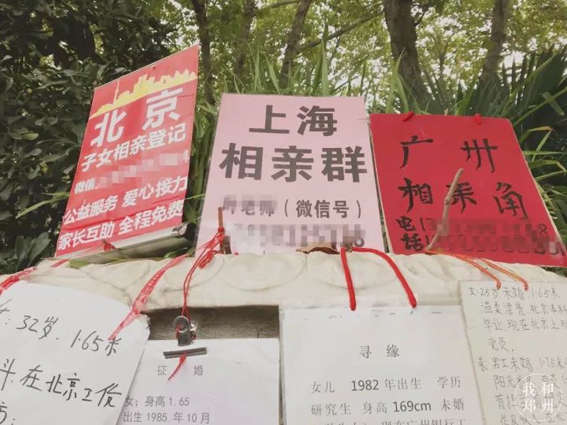 你是否在婚恋交友群里迷失了方向？怎样才能在这片信息海洋中找到真正的爱情呢？让我们一起来探讨一下。